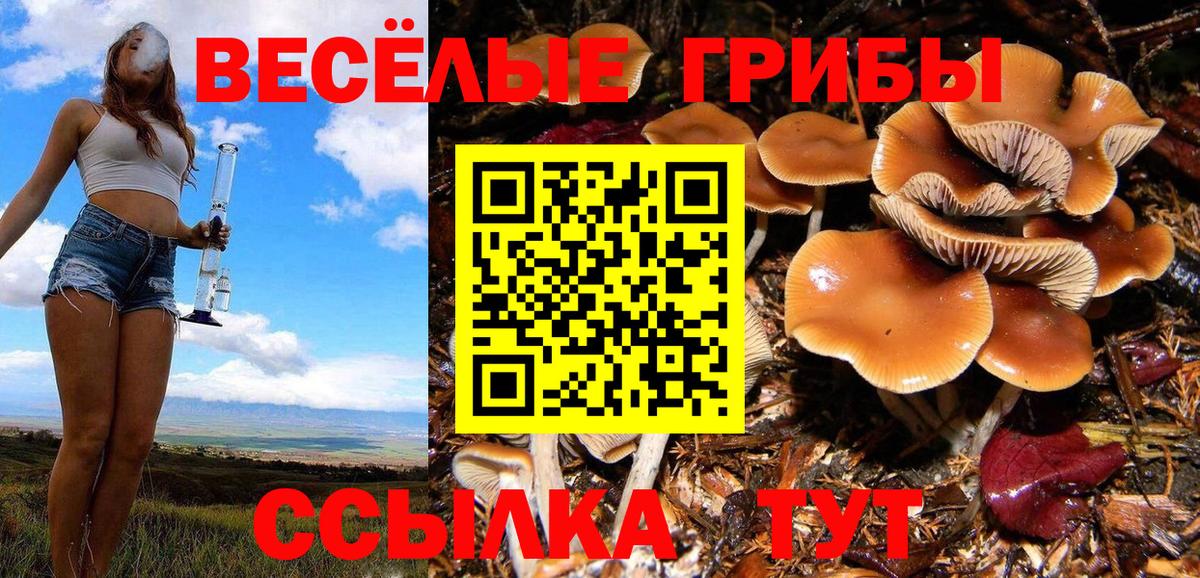 Псилоцибиновые грибы MAGIC MUSHROOMS  Вход с VPN  Кисловодск 