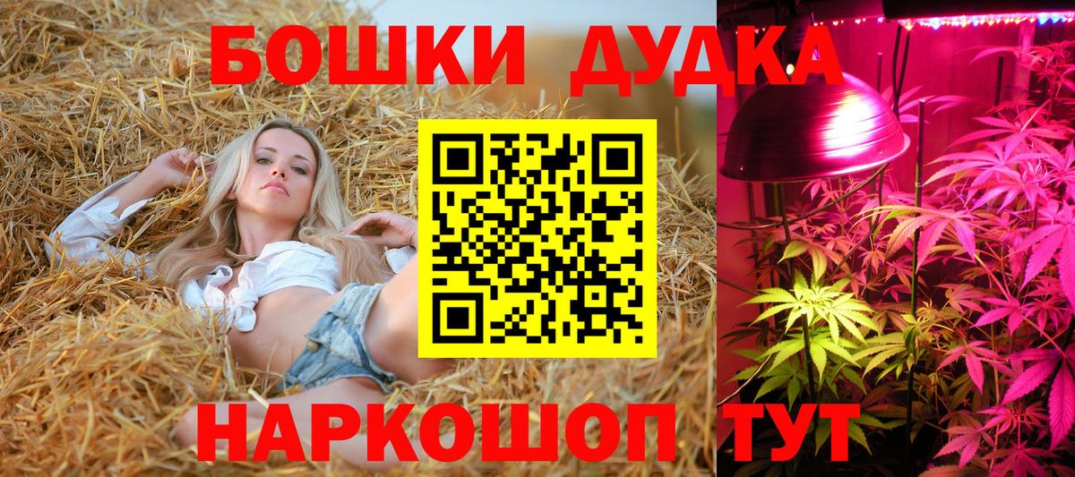 МАРИХУАНА Amnesia Кисловодск